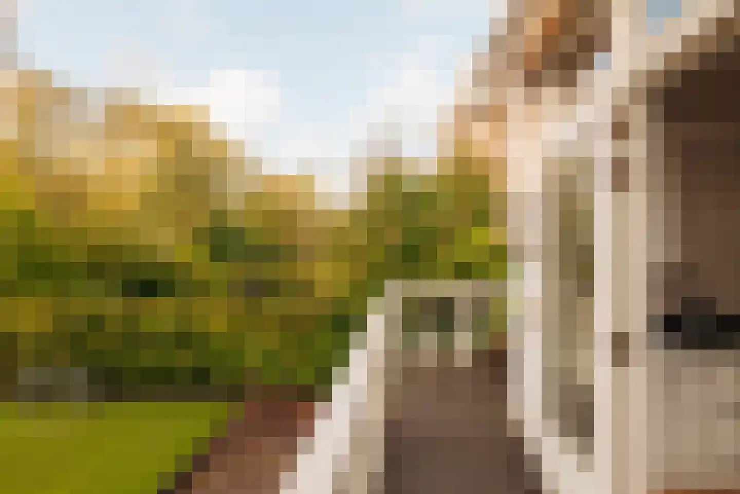 Amsterdamseweg 282 Amstelveen thumbnail 18