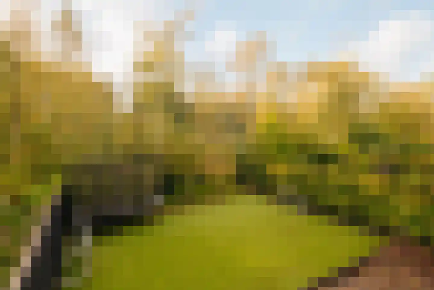 Amsterdamseweg 282 Amstelveen thumbnail 19