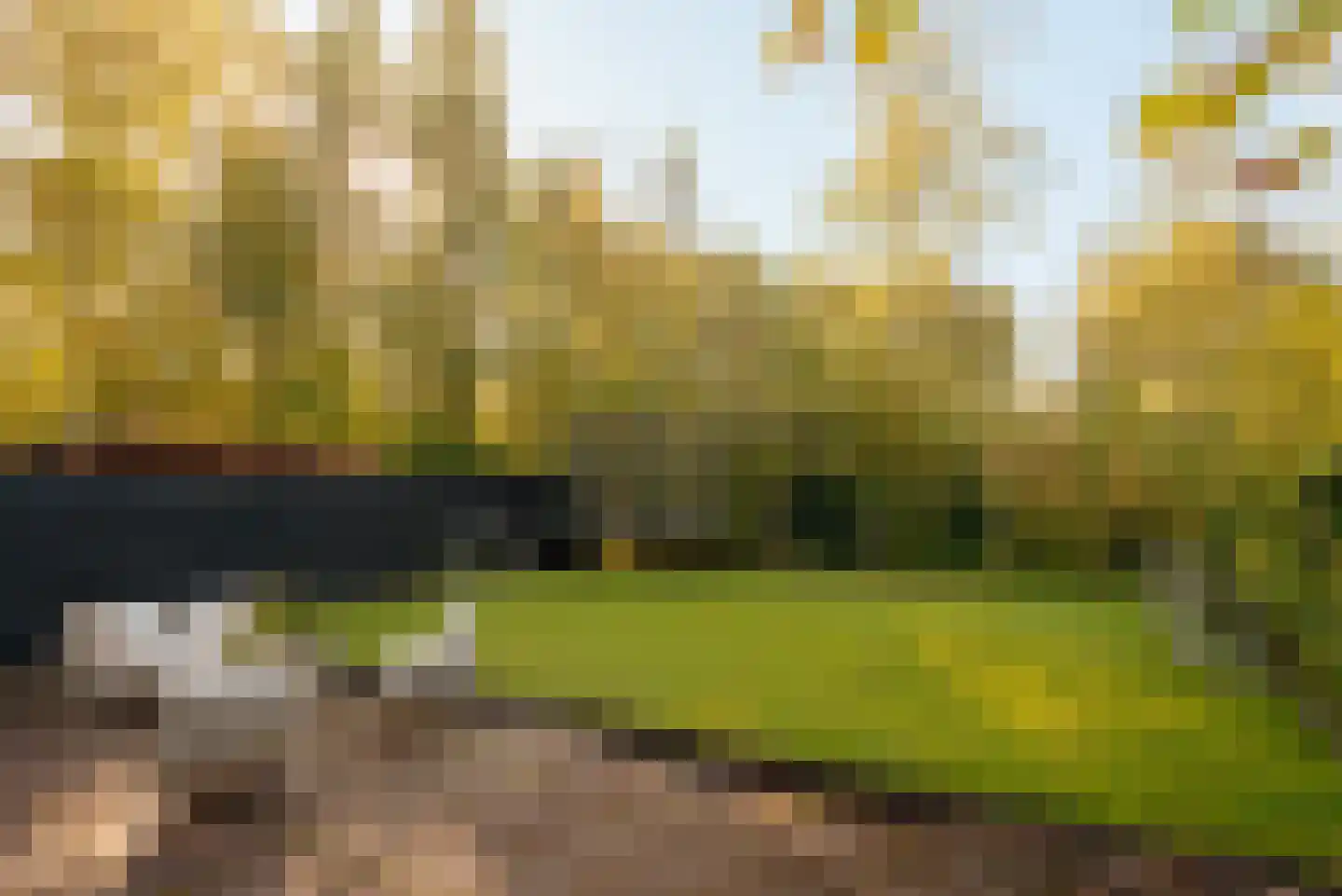 Amsterdamseweg 282 Amstelveen thumbnail 52