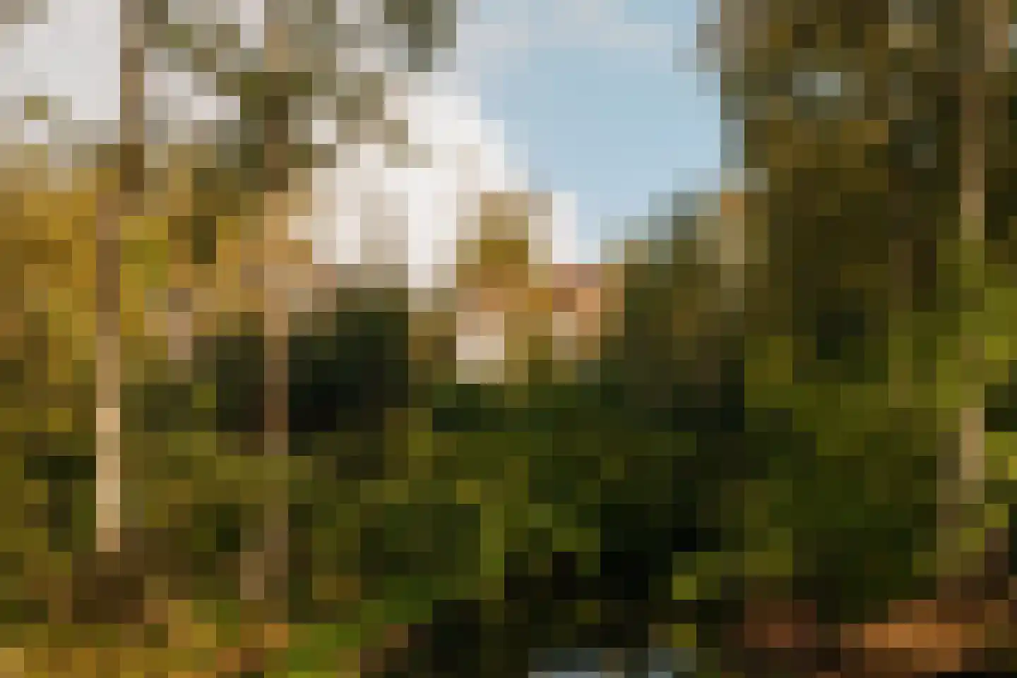 Amsterdamseweg 282 Amstelveen thumbnail 57