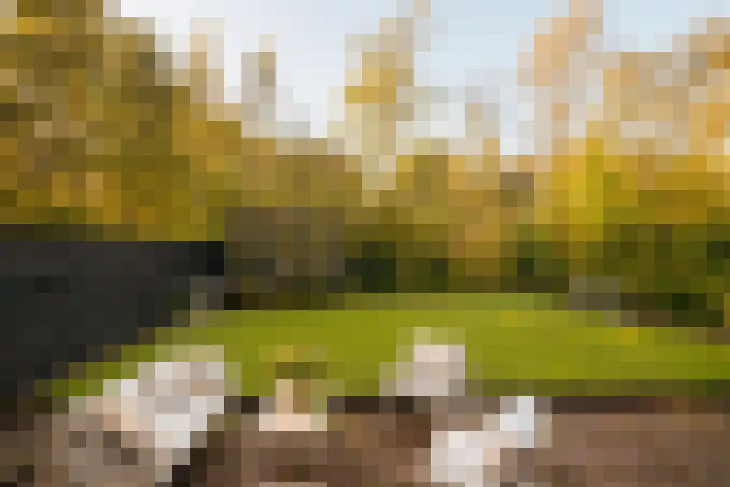 Amsterdamseweg 282 Amstelveen thumbnail 7