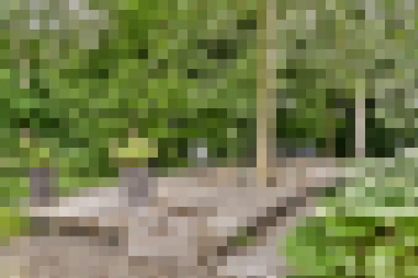 Amsterdamseweg 289 Amstelveen thumbnail 37
