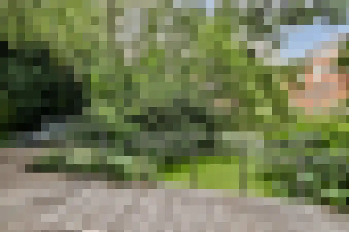 Amsterdamseweg 289 Amstelveen thumbnail 38