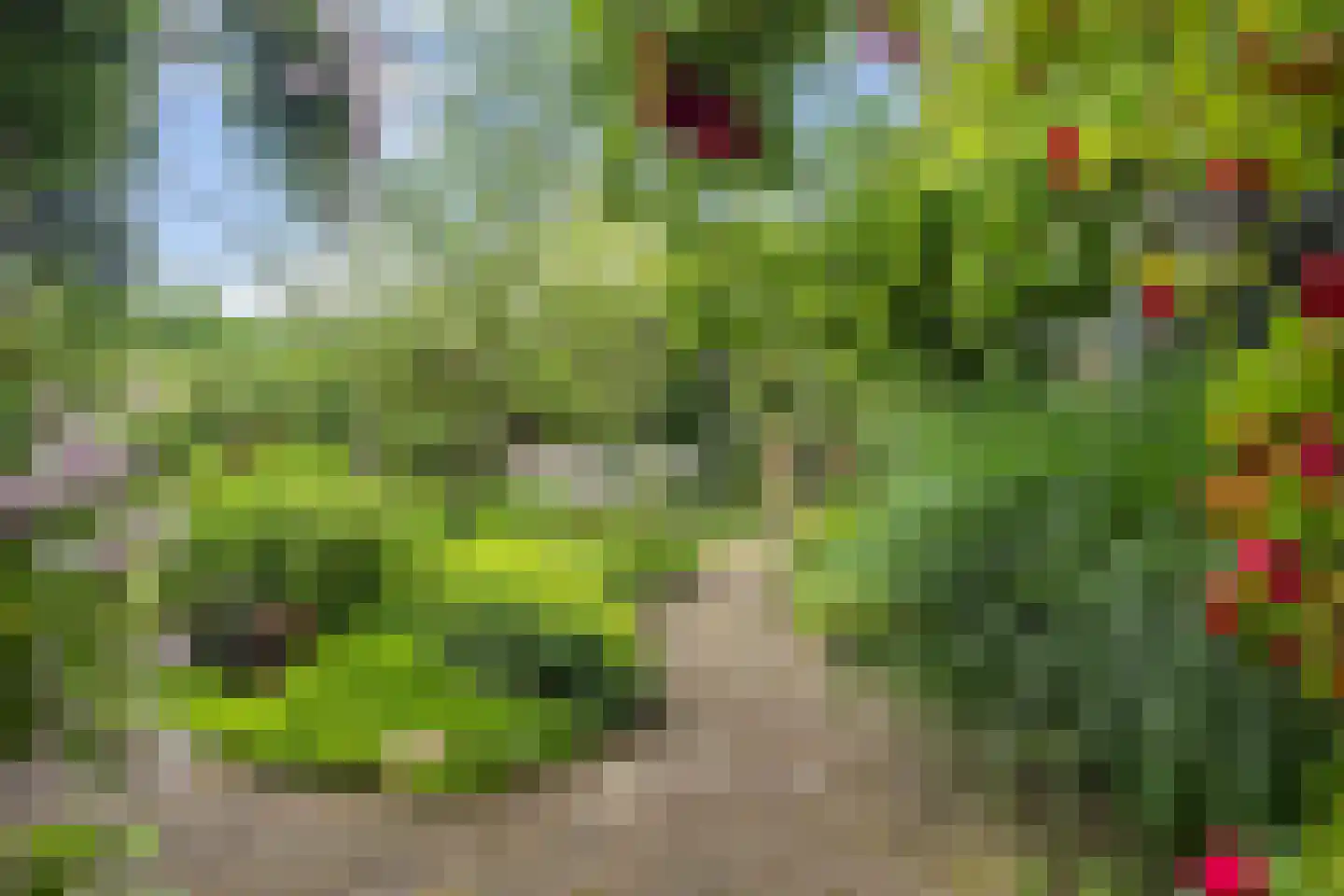 Amsterdamseweg 31 Ede thumbnail 38