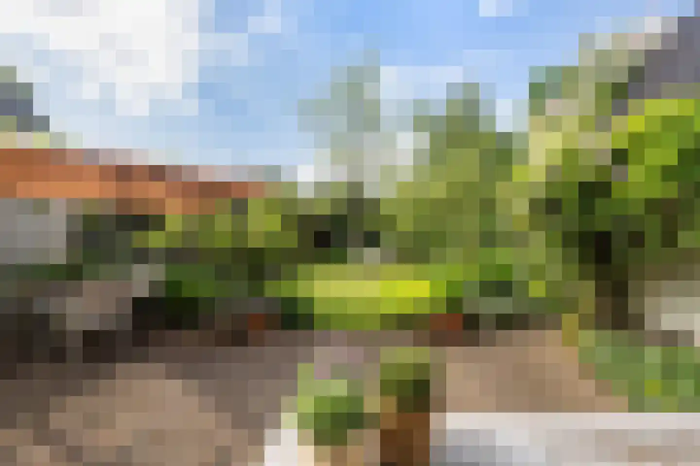 Amsterdamseweg 31 Ede thumbnail 42