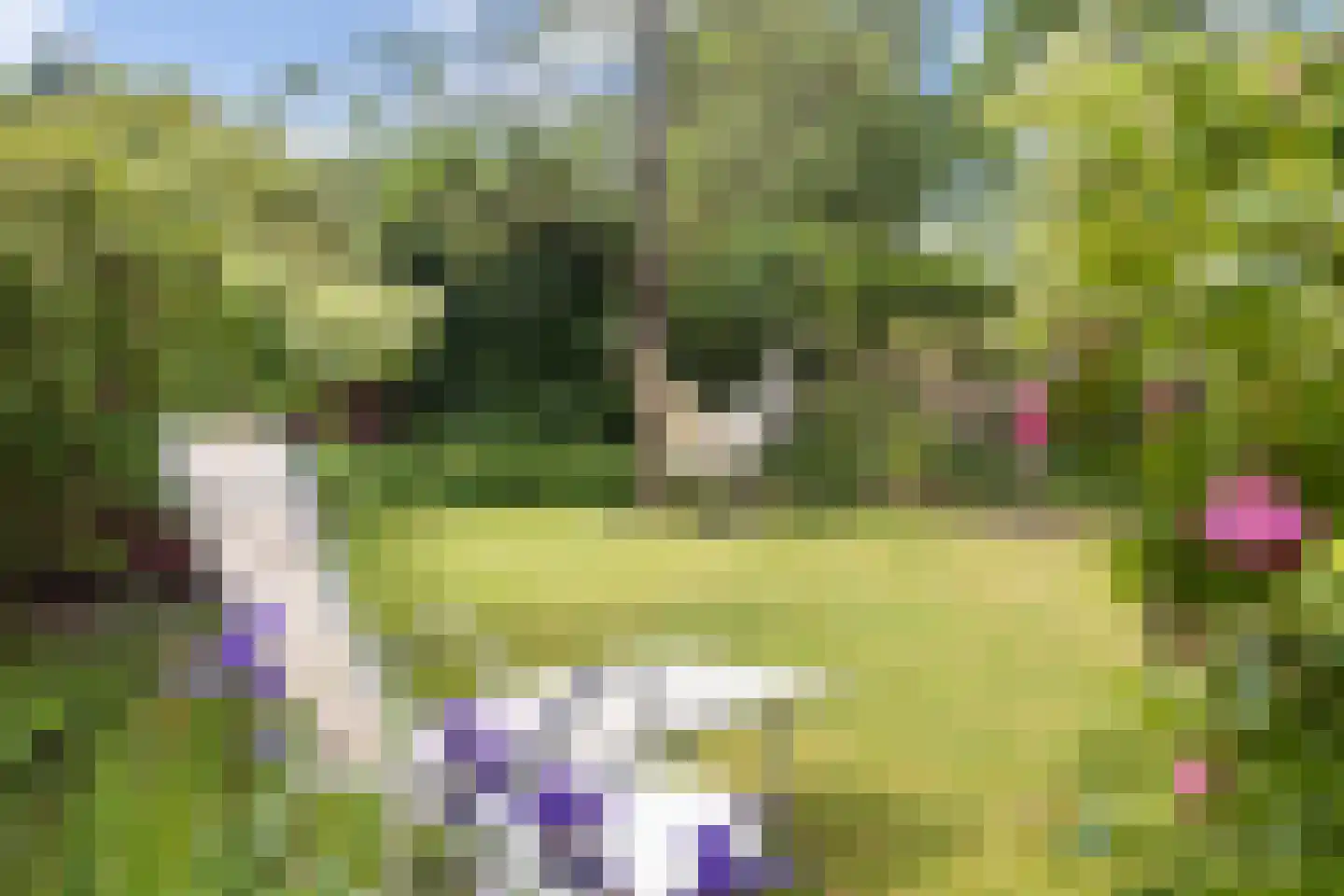 Amsterdamseweg 31 Ede thumbnail 46