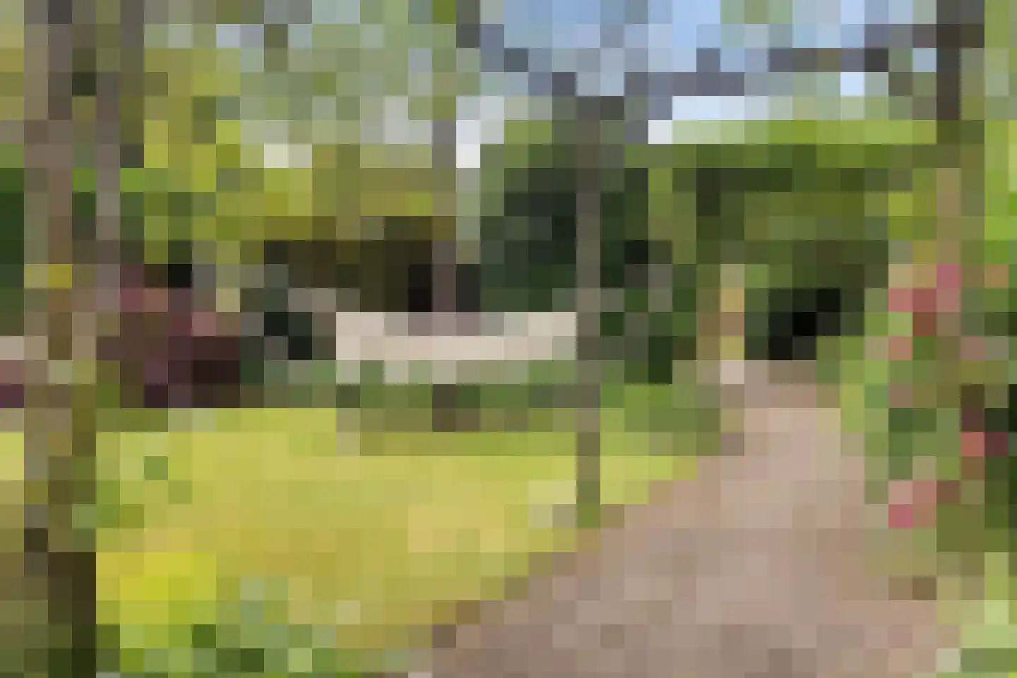 Amsterdamseweg 31 Ede thumbnail 49