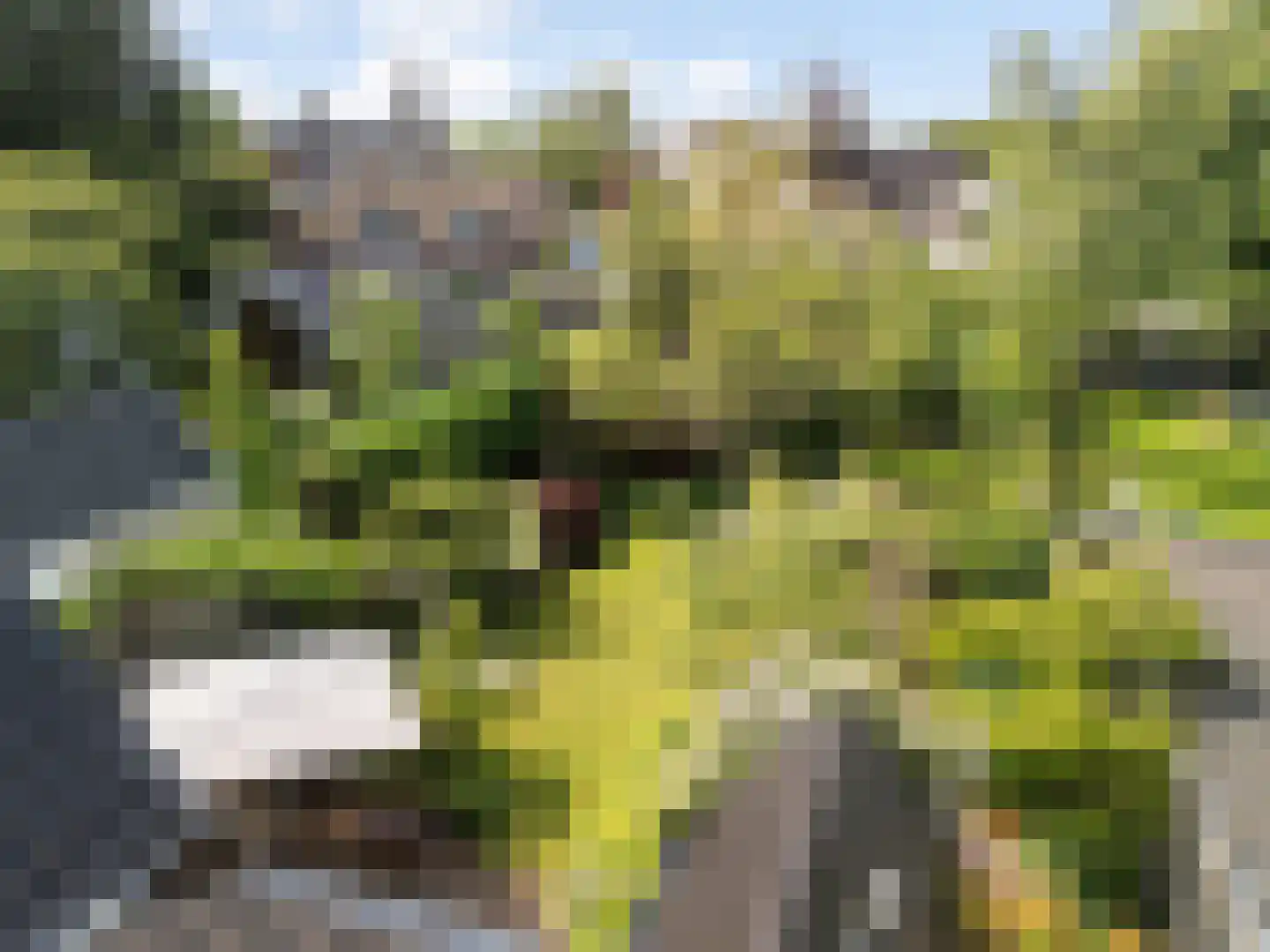 Amsterdamseweg 31 Ede thumbnail 55