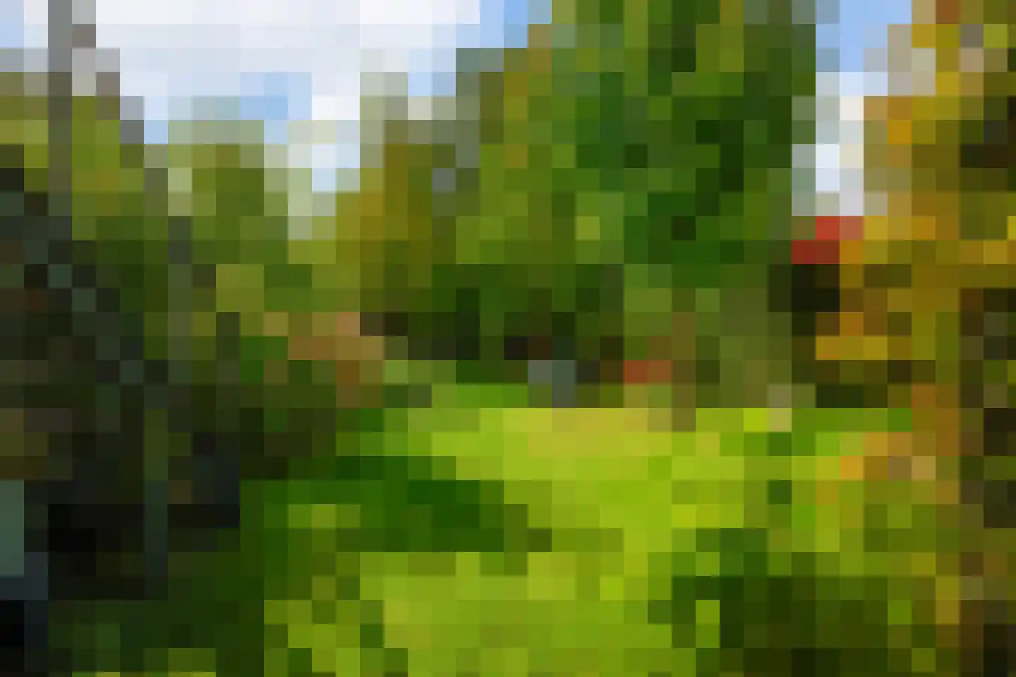 Amsterdamseweg 316 Amstelveen thumbnail 28