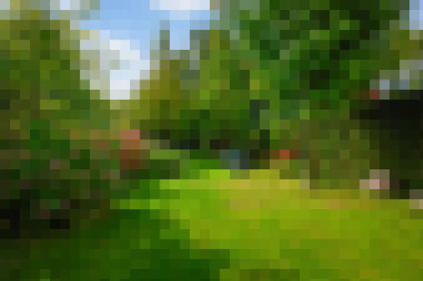 Amsterdamseweg 316 Amstelveen thumbnail 6