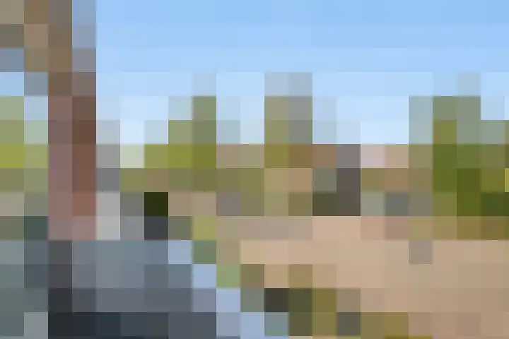 Amsterdamseweg 320 Amstelveen thumbnail 12