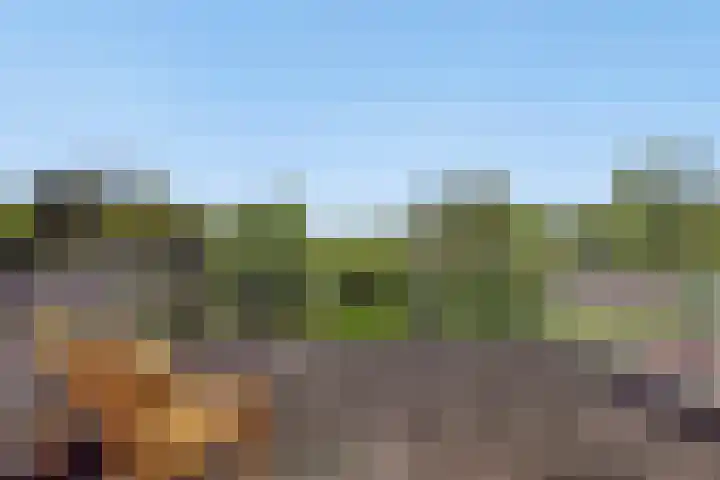Amsterdamseweg 320 Amstelveen thumbnail 20