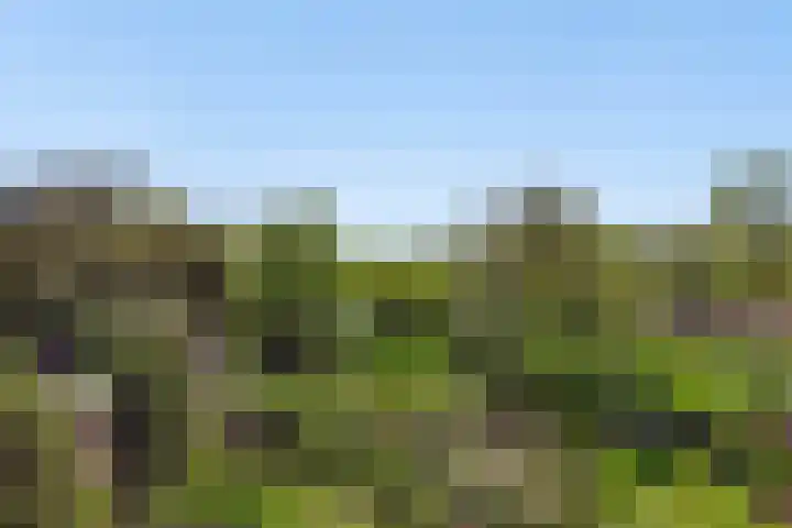 Amsterdamseweg 320 Amstelveen thumbnail 22