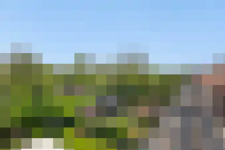 Amsterdamseweg 320 Amstelveen thumbnail 23