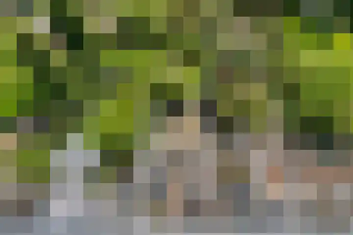 Amsterdamseweg 320 Amstelveen thumbnail 24