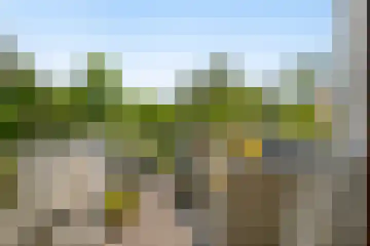 Amsterdamseweg 320 Amstelveen thumbnail 25