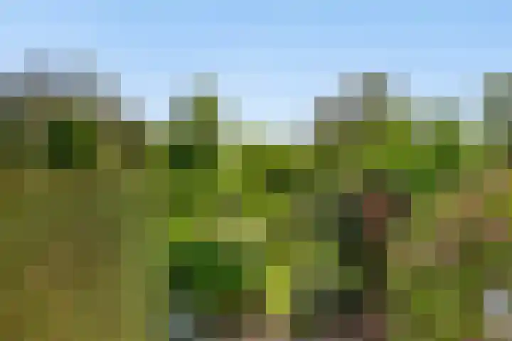 Amsterdamseweg 320 Amstelveen thumbnail 28