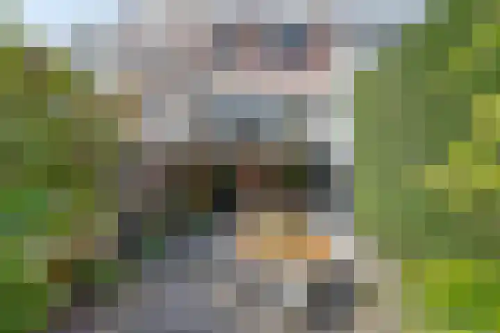 Amsterdamseweg 320 Amstelveen thumbnail 33