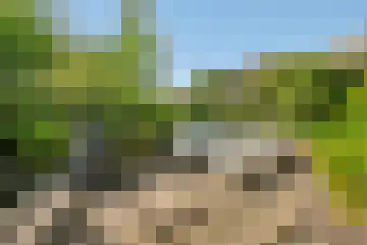 Amsterdamseweg 320 Amstelveen thumbnail 36