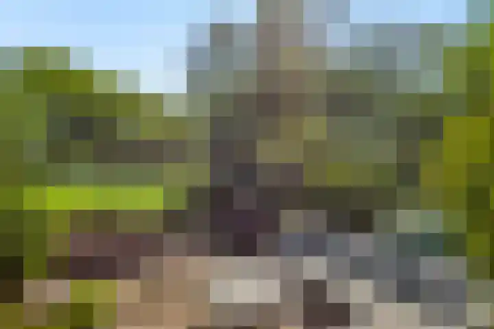 Amsterdamseweg 320 Amstelveen thumbnail 37