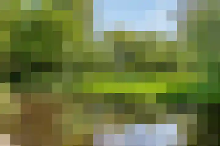 Amsterdamseweg 320 Amstelveen thumbnail 38