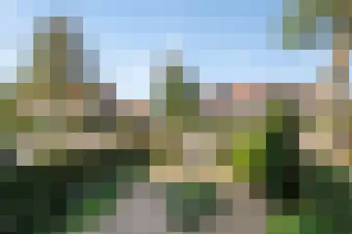 Amsterdamseweg 320 Amstelveen thumbnail 39