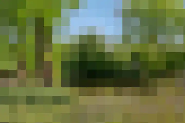 Amsterdamseweg 320 Amstelveen thumbnail 42