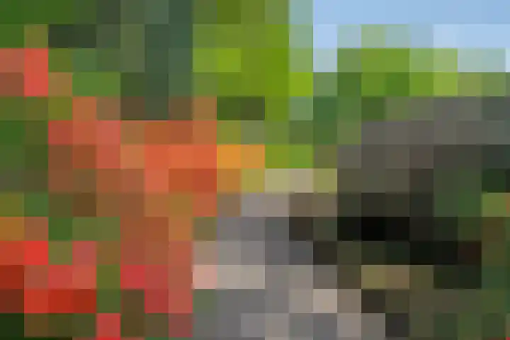 Amsterdamseweg 320 Amstelveen thumbnail 43