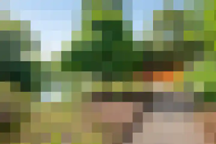 Amsterdamseweg 320 Amstelveen thumbnail 44