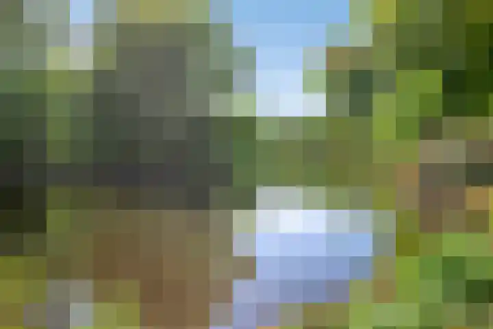 Amsterdamseweg 320 Amstelveen thumbnail 45