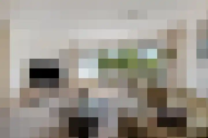 Amsterdamseweg 320 Amstelveen thumbnail 5