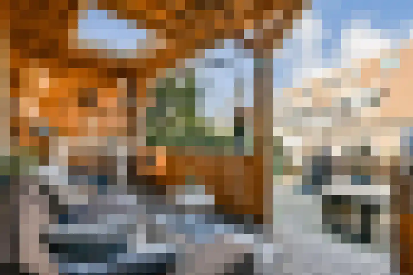 Amsterdamseweg 355 Amstelveen thumbnail 15