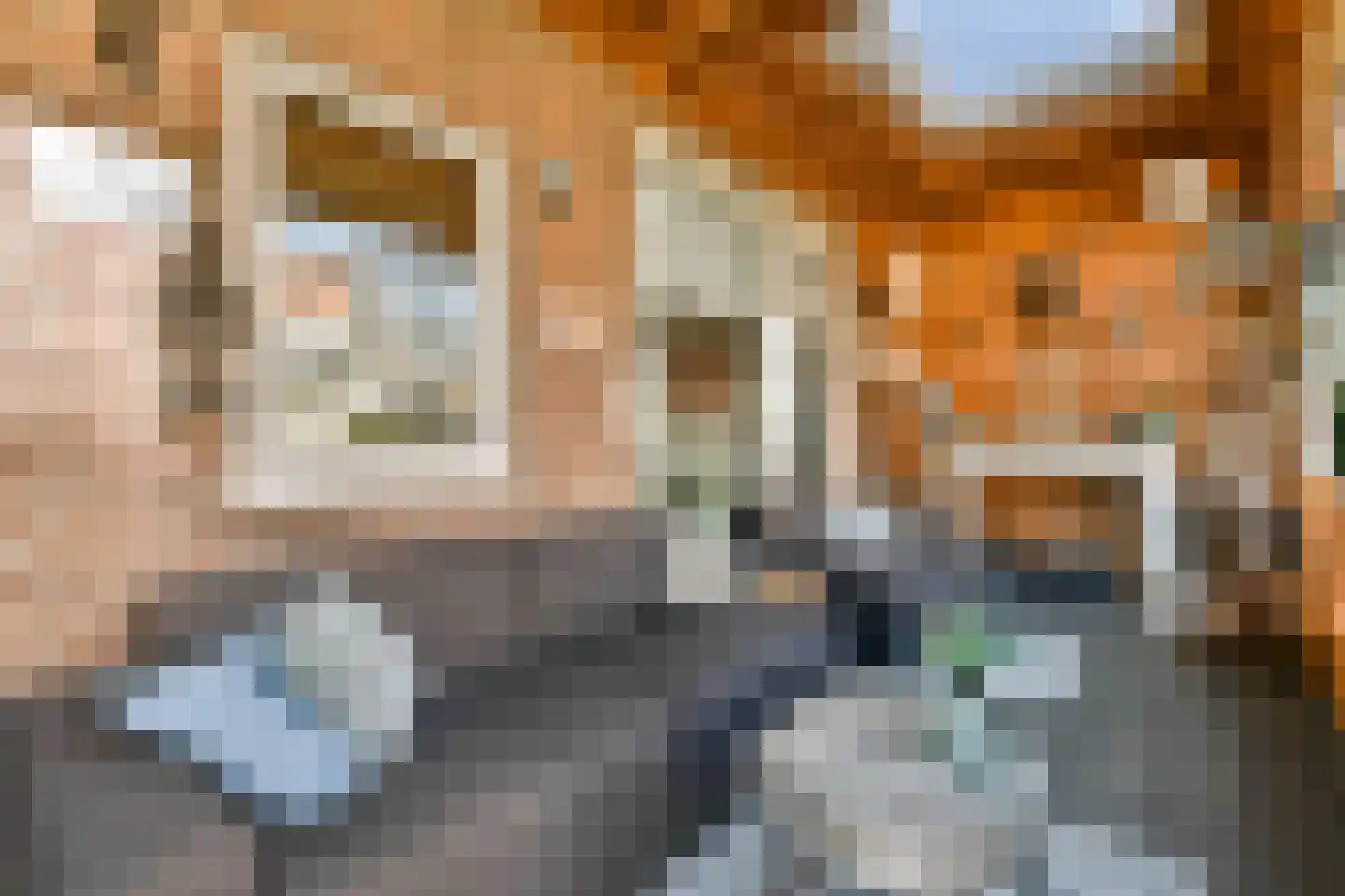 Amsterdamseweg 355 Amstelveen thumbnail 16