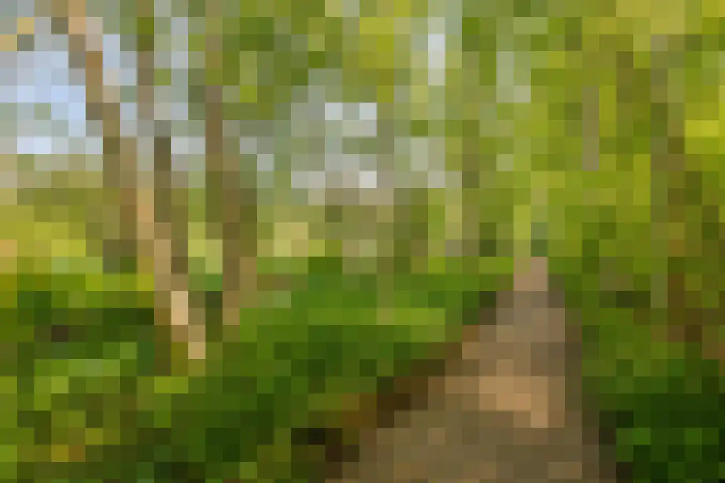 Amsterdamseweg 363 BV Amstelveen thumbnail 27