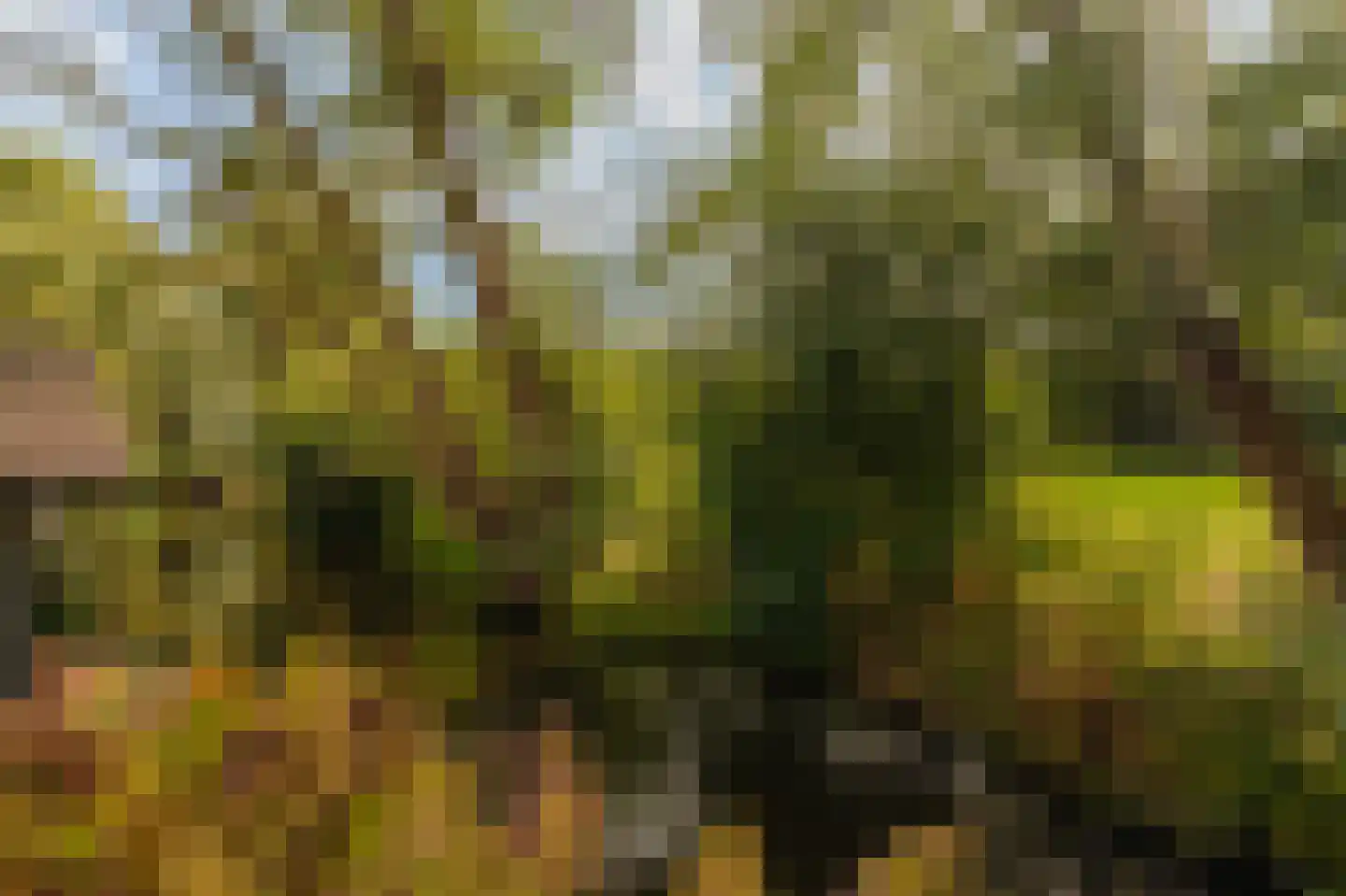 Amsterdamseweg 370 Amstelveen thumbnail 17