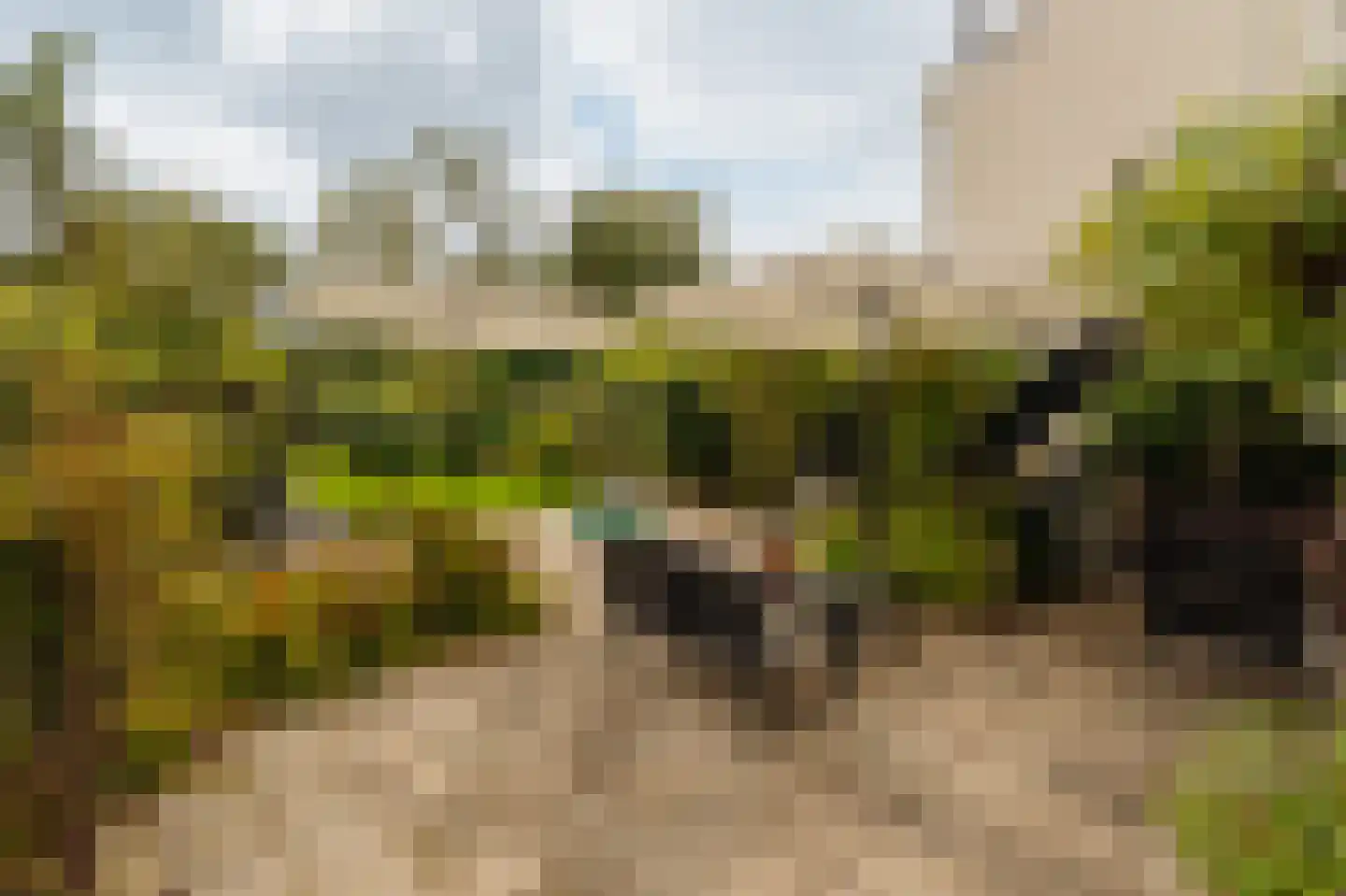 Amsterdamseweg 370 Amstelveen thumbnail 19