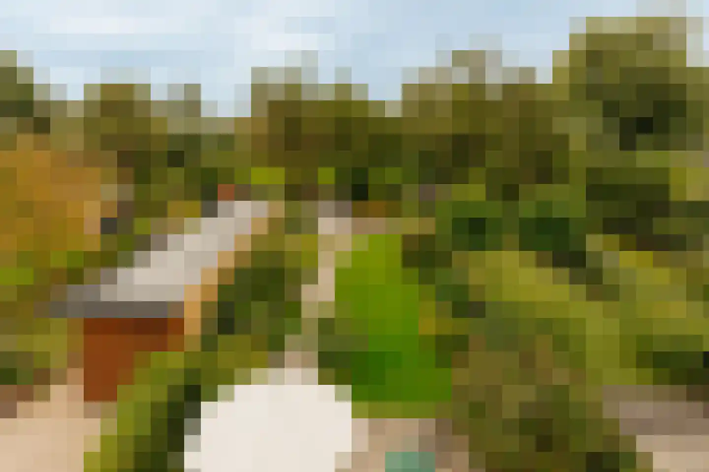Amsterdamseweg 370 Amstelveen thumbnail 8