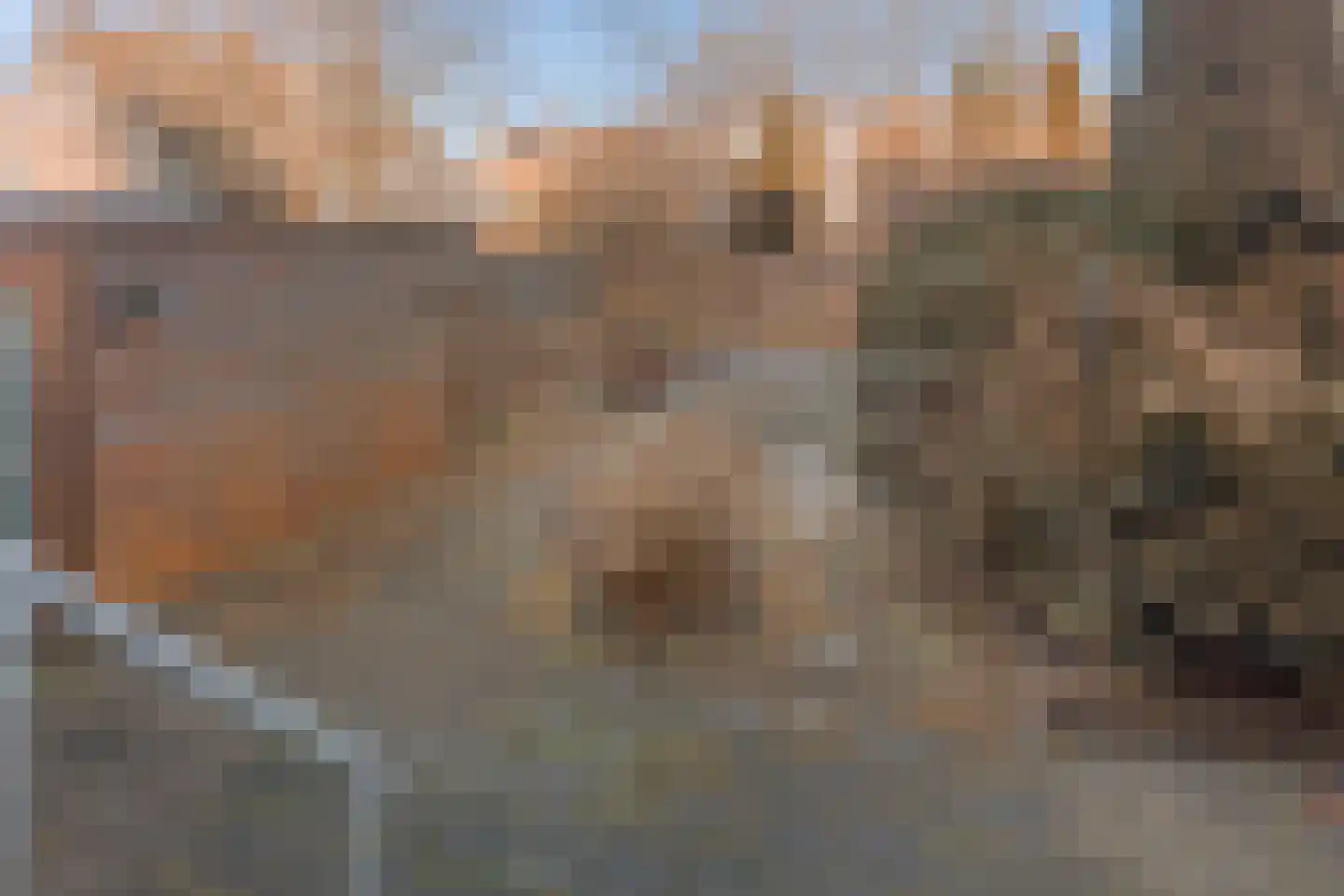 Amsterdamseweg 379 Amstelveen thumbnail 6