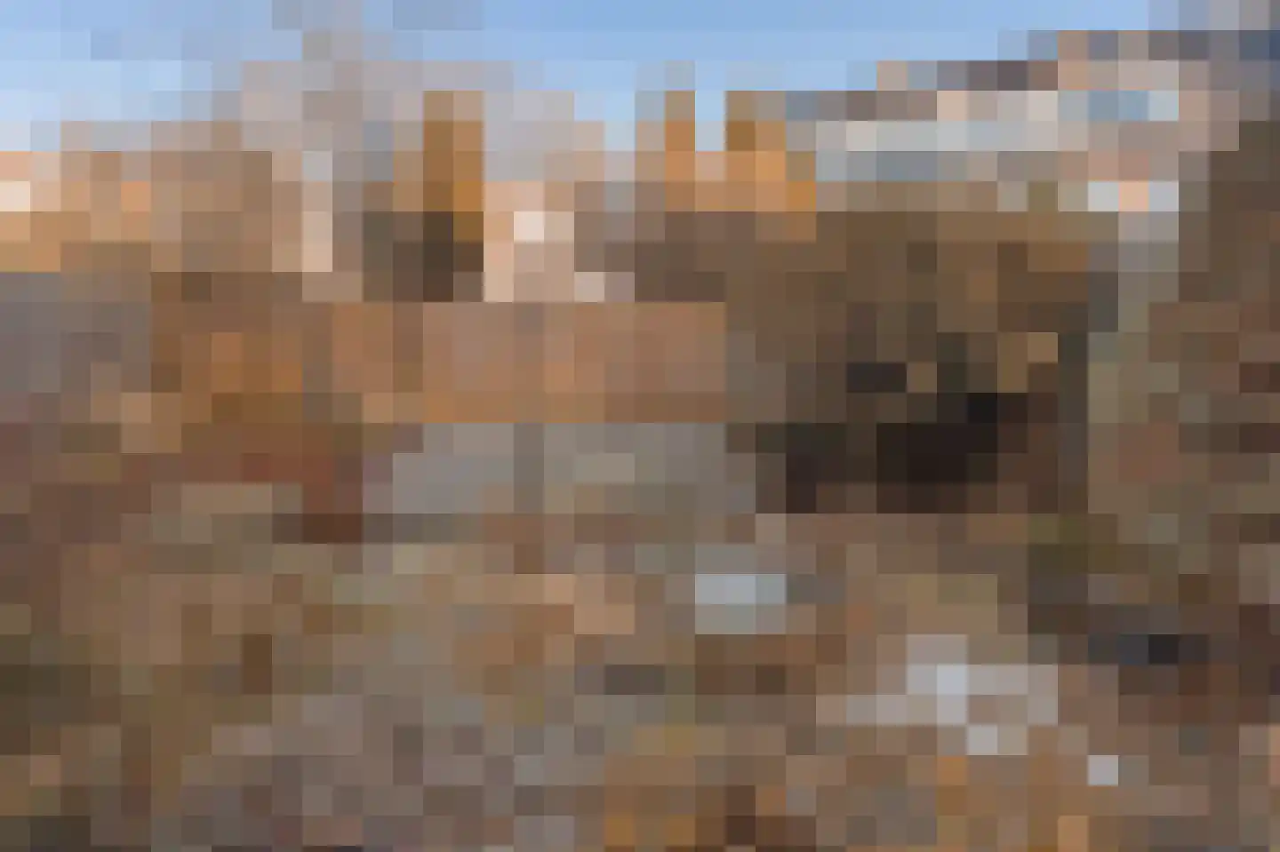 Amsterdamseweg 379 Amstelveen thumbnail 7