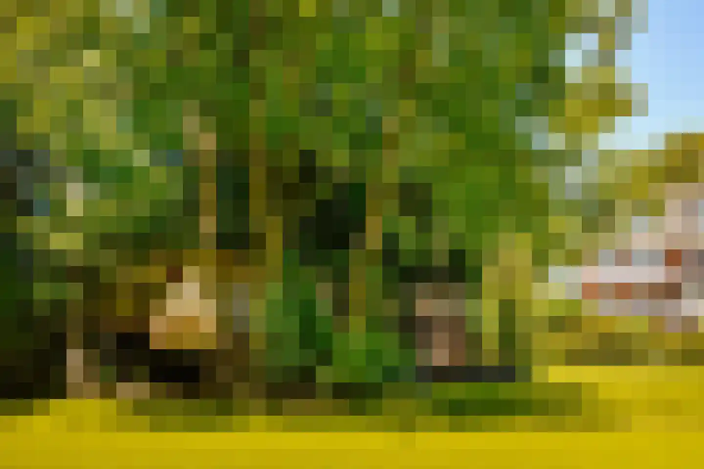 Amsterdamseweg 380 A Amstelveen thumbnail 38