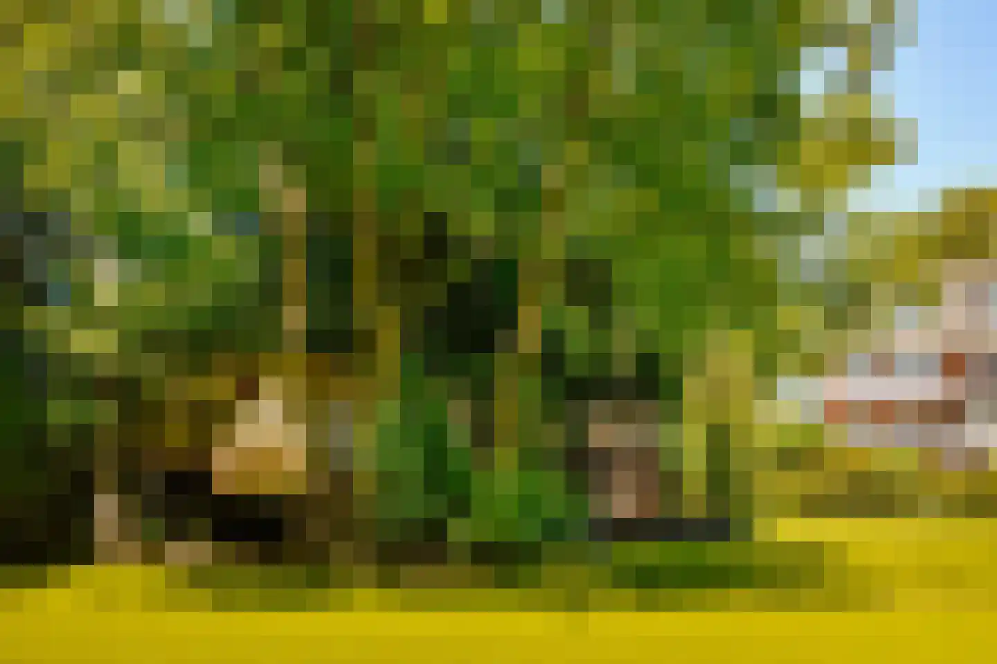 Amsterdamseweg 380 A Amstelveen thumbnail 38