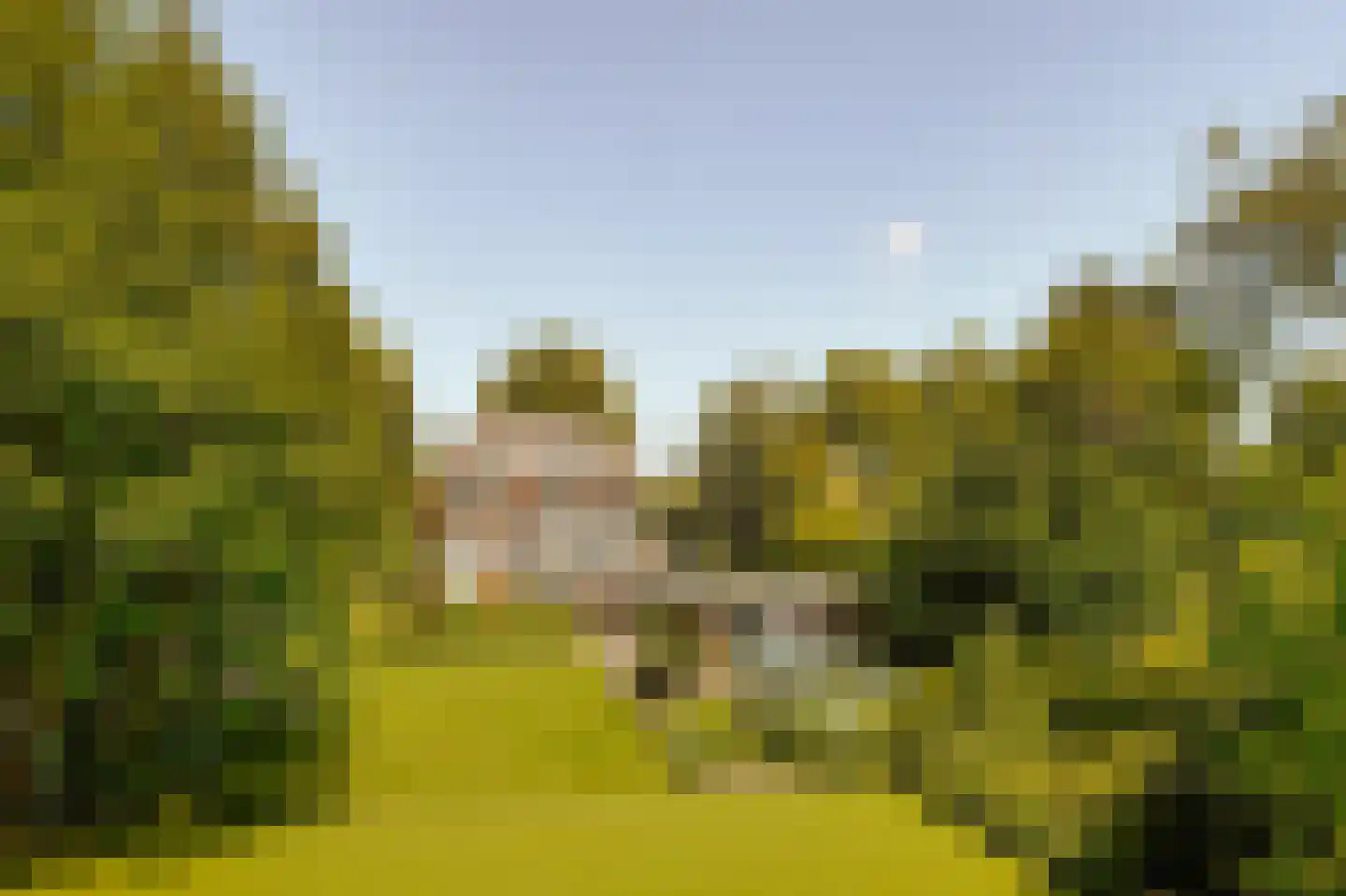 Amsterdamseweg 380 A Amstelveen thumbnail 4