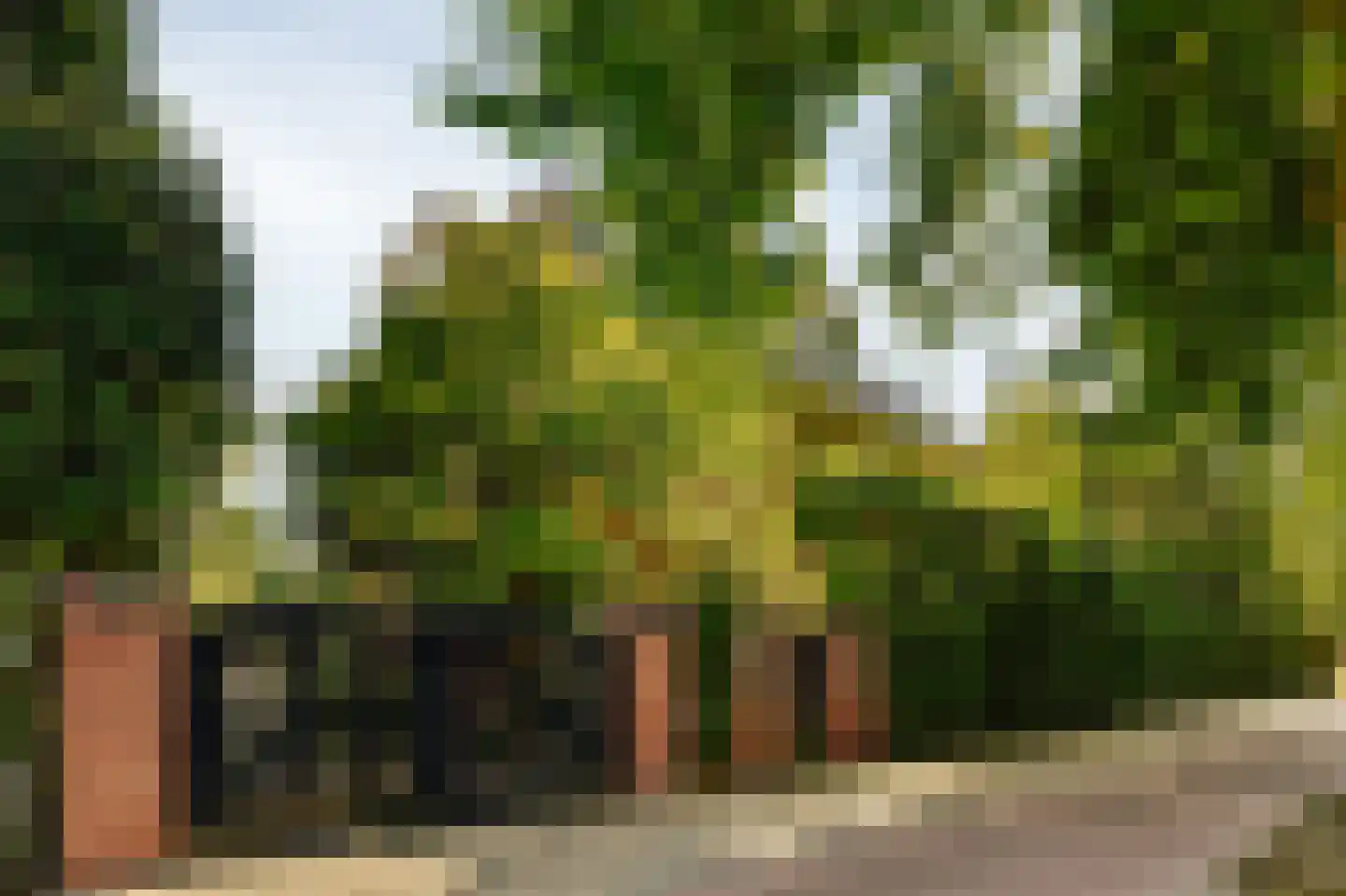 Amsterdamseweg 380 A Amstelveen thumbnail 54
