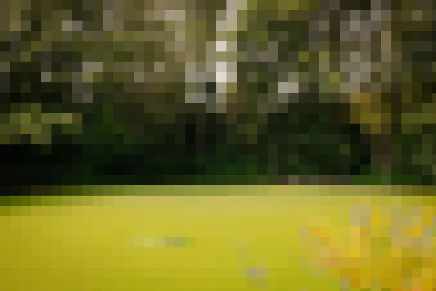 Amsterdamseweg 380 A Amstelveen thumbnail 58