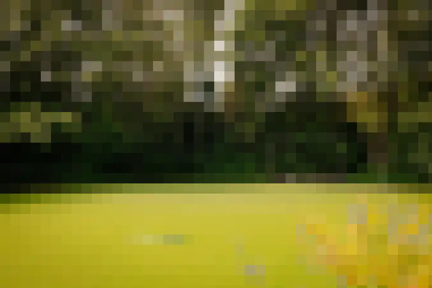 Amsterdamseweg 380 A Amstelveen thumbnail 58