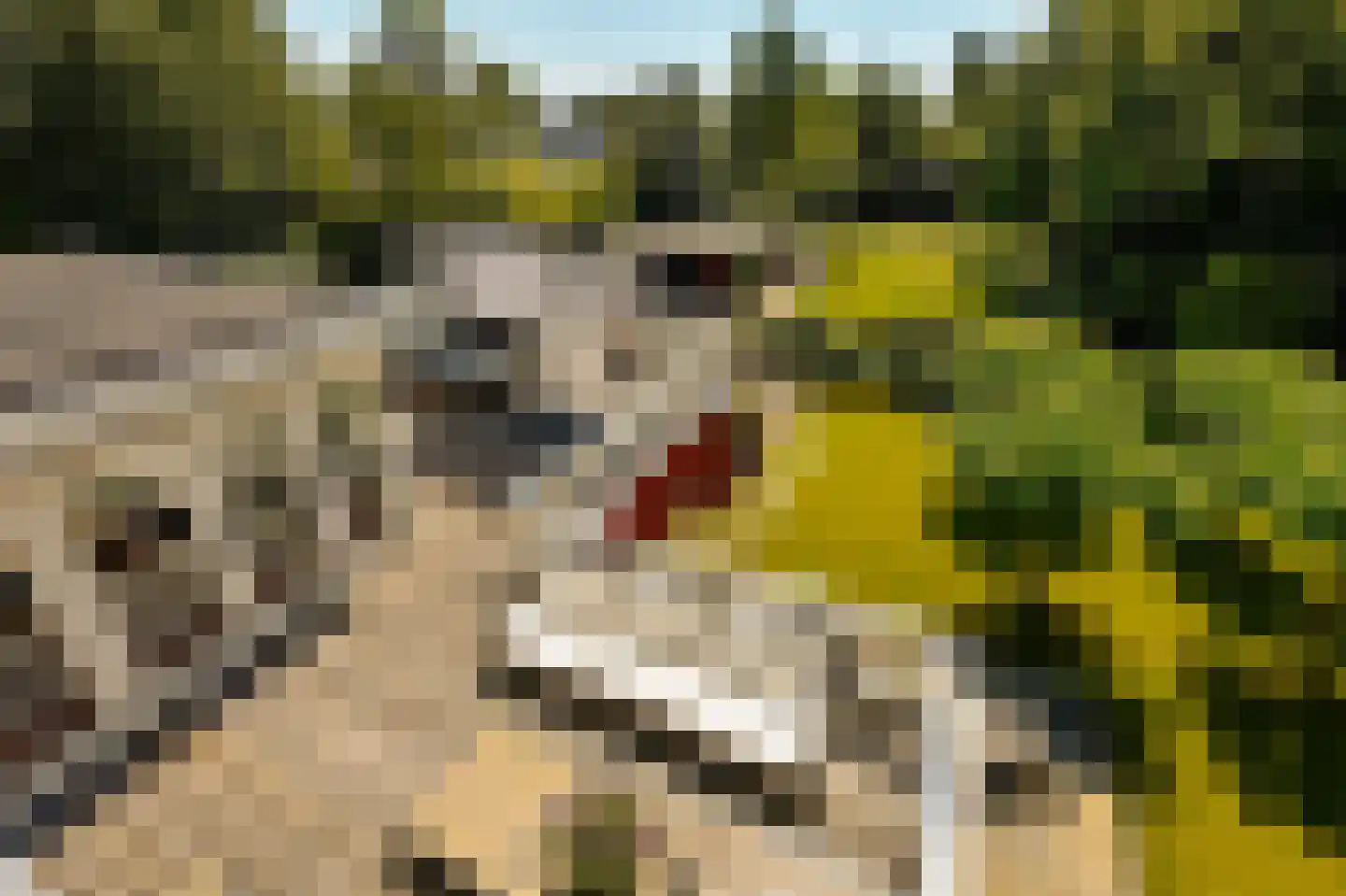Amsterdamseweg 380 A Amstelveen thumbnail 59