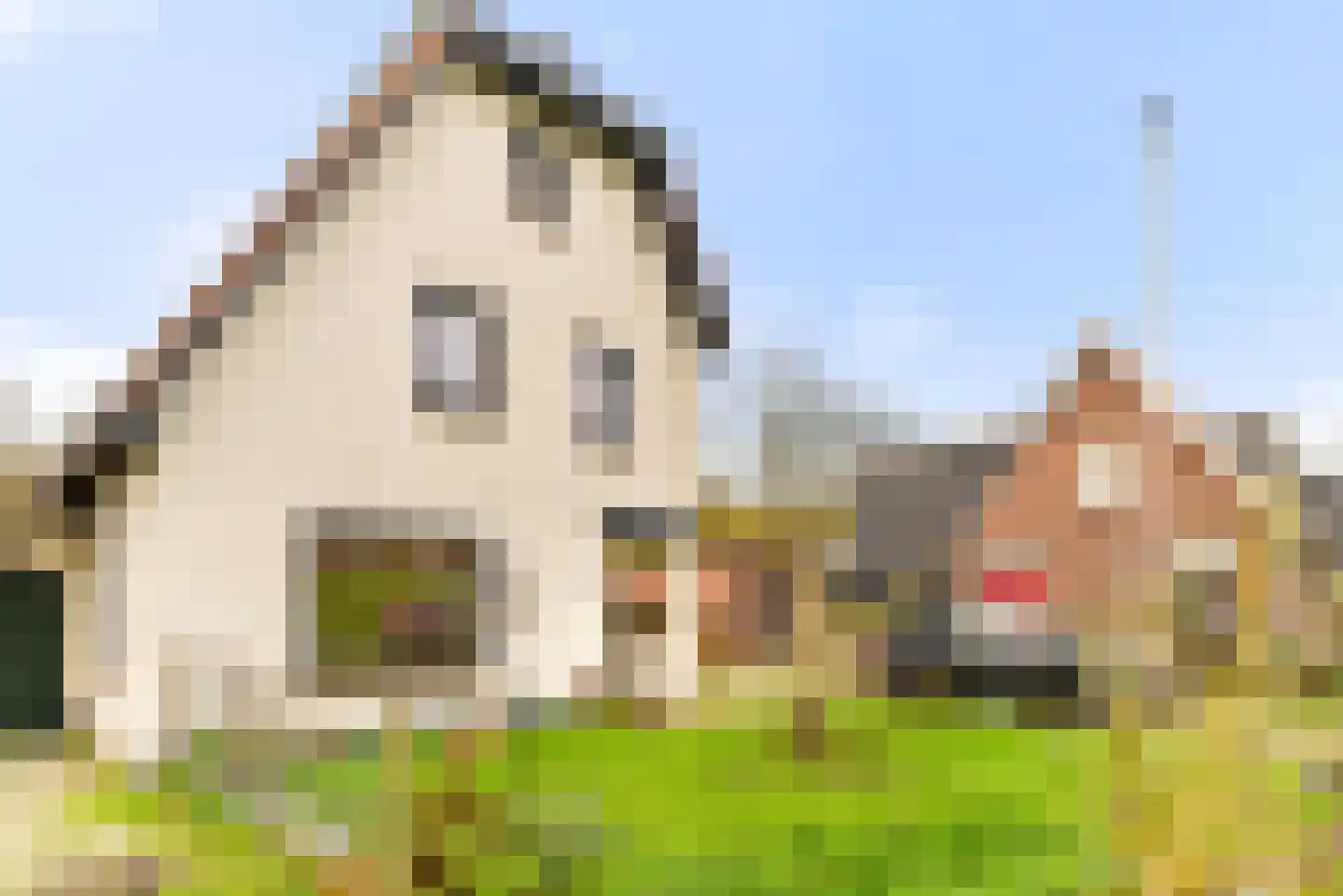 Amsterdamseweg 45 Velsen-Zuid thumbnail 8