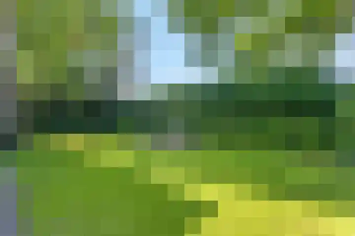 Amsterdamseweg 46 Ede thumbnail 47