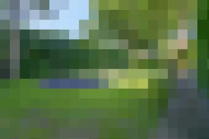 Amsterdamseweg 46 Ede thumbnail 50