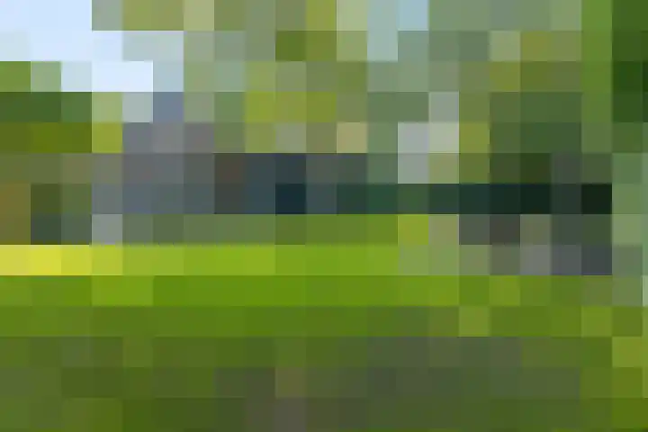 Amsterdamseweg 46 Ede thumbnail 51
